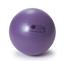 ŽOGA SISSEL® Securemax Exercise Ball, 55 cm