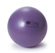 SISSEL®_Securemax_Exercice_Ball,_45_cm_zoga